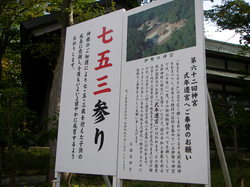 PA170511.JPGのサムネール画像